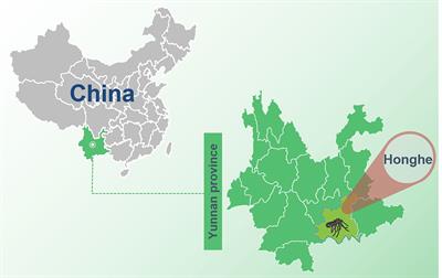 Metavirome Analysis of Culex tritaeniorhynchus Reveals Novel Japanese Encephalitis Virus and Chikungunya Virus